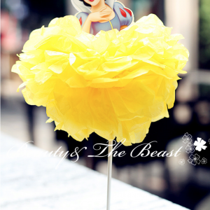 Snow White party Decoration