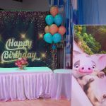 Moana Party Decoration Toronto